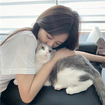 我会击倒你